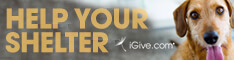 iGive.com